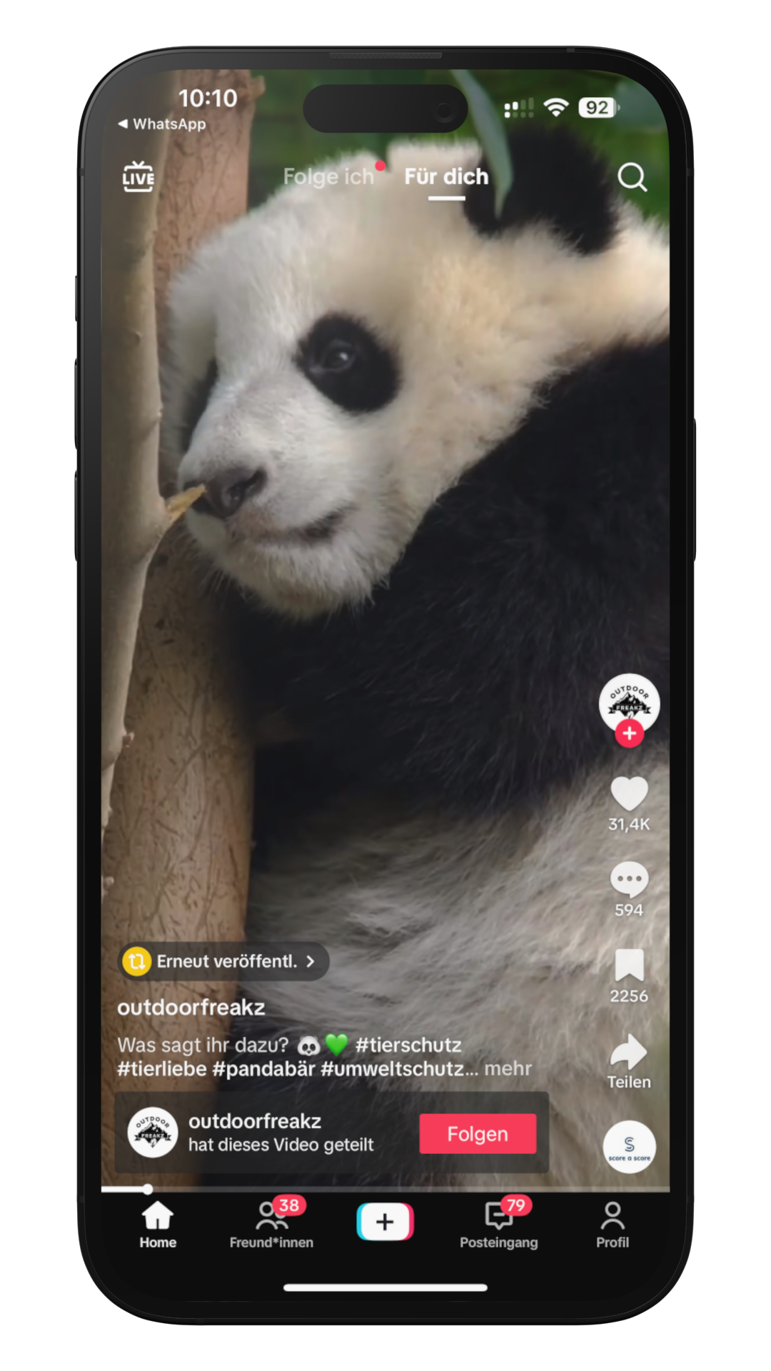 iPhone Referenzen Panda
